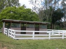 Enlarge photo 53