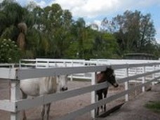 Enlarge photo 54