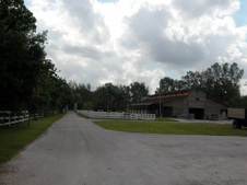 Enlarge photo 255