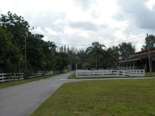 Enlarge photo 264