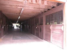 Enlarge photo 265