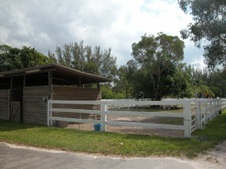 Enlarge photo 257