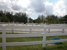 Enlarge photo 259