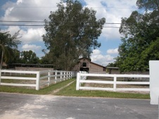 Enlarge photo 260