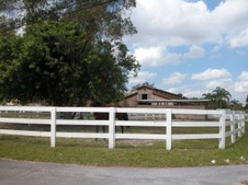 Enlarge photo 261