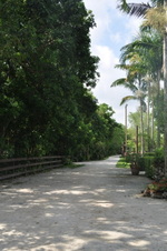 Enlarge photo 202