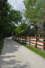 Enlarge photo 216
