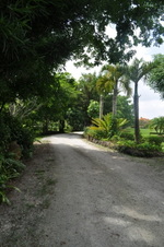 Enlarge photo 218