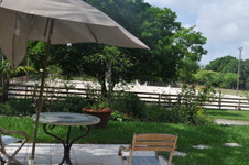 Enlarge photo 203