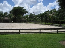 Enlarge photo 314