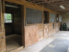 Enlarge photo 326