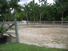 Enlarge photo 331