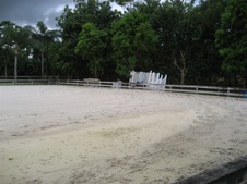 Enlarge photo 332