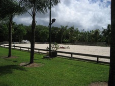 Enlarge photo 315