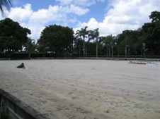 Enlarge photo 333