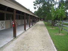 Enlarge photo 338