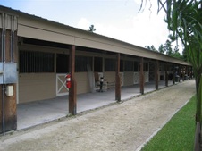 Enlarge photo 340