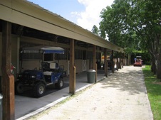 Enlarge photo 341