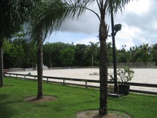 Enlarge photo 320