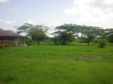 Enlarge photo 280
