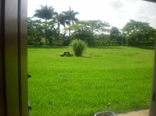 Enlarge photo 274