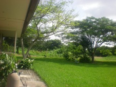Enlarge photo 275
