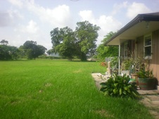 Enlarge photo 277