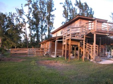 Enlarge photo 283