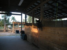 Enlarge photo 289