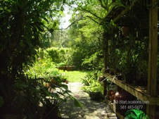 Enlarge photo 356