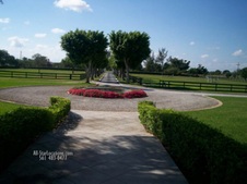 Enlarge photo 344