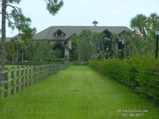 Enlarge photo 347