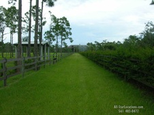 Enlarge photo 349