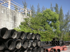 Enlarge photo 29