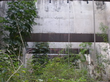 Enlarge photo 31