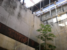 Enlarge photo 33