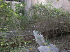 Enlarge photo 36