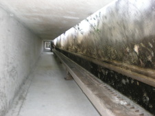 Enlarge photo 37