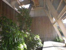 Enlarge photo 70