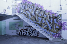 Enlarge photo 91
