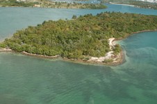 Enlarge photo 42