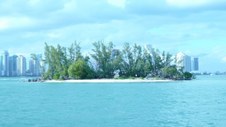 Enlarge photo 83