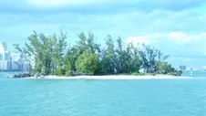 Enlarge photo 82