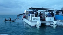 Enlarge photo 88