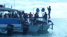 Enlarge photo 87