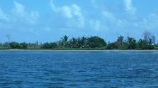 Enlarge photo 16