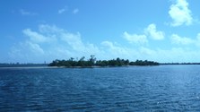 Enlarge photo 19