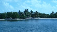 Enlarge photo 20