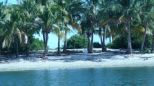 Enlarge photo 26