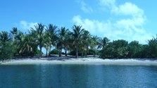 Enlarge photo 28